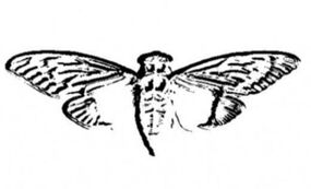 Donation Image